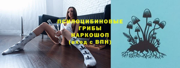 прущая мука Арсеньев