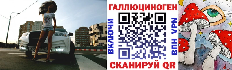Псилоцибиновые грибы Psilocybe  Пущино 